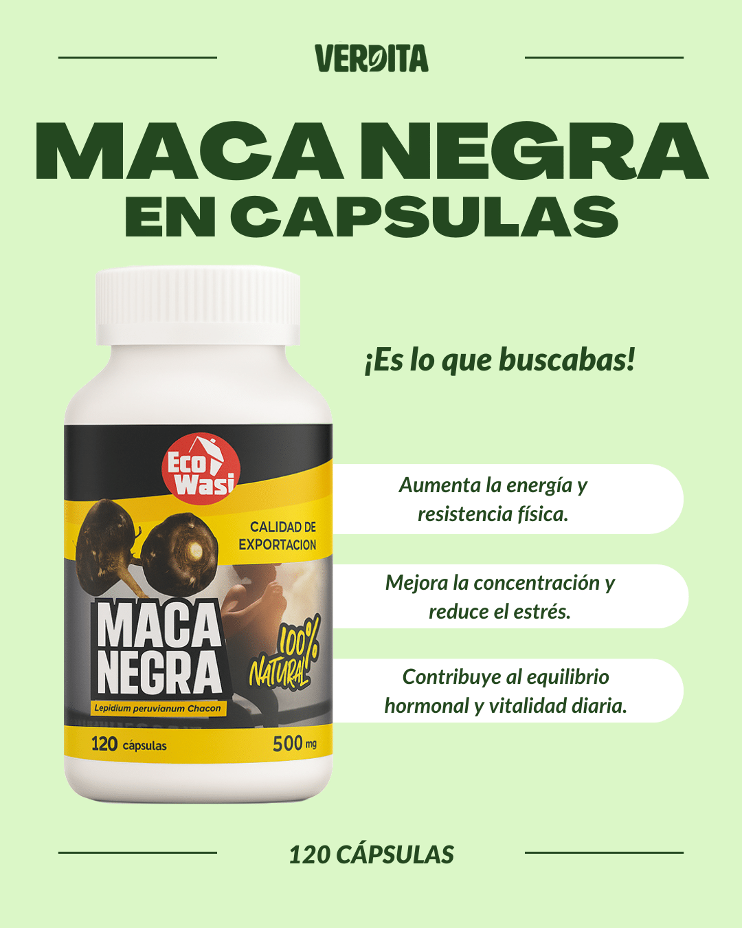 Maca Negra en Capsulas 2 Beneficios de la Maca Negra en Capsulas